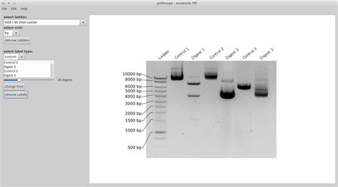 python gel|GitHub .